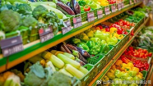 農藥殘留與消殺用品檢測設備概覽